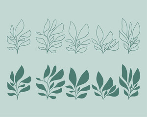 Set of leaves. Hand drawn decorative elements. Organic botanical leaves, plants, floral illustration vectors