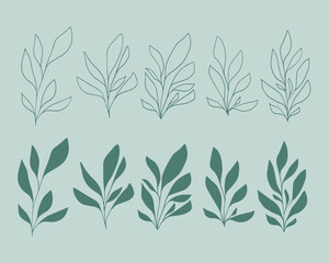 Set of leaves. Hand drawn decorative elements. Organic botanical leaves, plants, floral illustration vectors