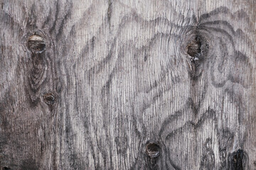 texture of wood