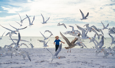 Summer holiday. Child run on the seagulls on the beach, summer time. Cute little boy chasing birds...
