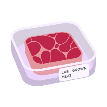 Square shaped raw piece of cultured red meat grown in a petri dish. Lab-grown meat isometric vector illustration isolated on white.