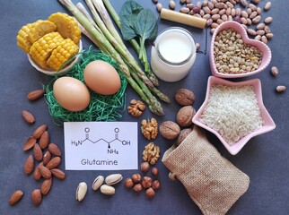 Foods rich in glutamine with structural chemical formula of glutamine. Glutamine is an amino acid...