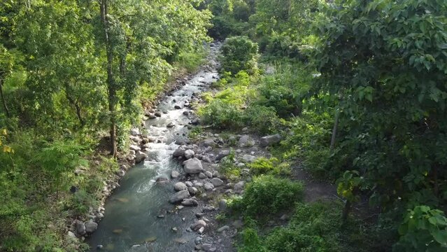 footage river view on top angle with drone, forest footage with drone, river fotage, drone view. forest and river video angle from above, forest view, river view. 4K footage high resolution
