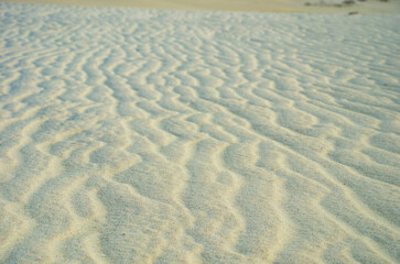 Desert landscape