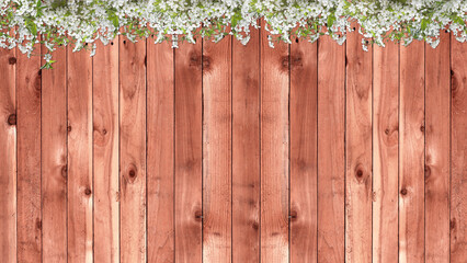 Fototapeta na wymiar cherry blossom flowers on wooden background for wallpaper and background
