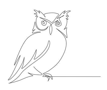 recommend clip art: Continuous one line drawing of owl bird. simple barn owl line art vector illustration.