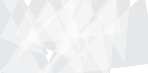 Abstract modern white and grey geometric triangle lines vector backgrounds. Design use for poster, template, banner, wallpaper background.