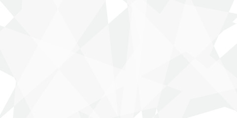 Fototapeta premium Abstract modern white and grey geometric triangle lines vector backgrounds. Design use for poster, template, banner, wallpaper background.