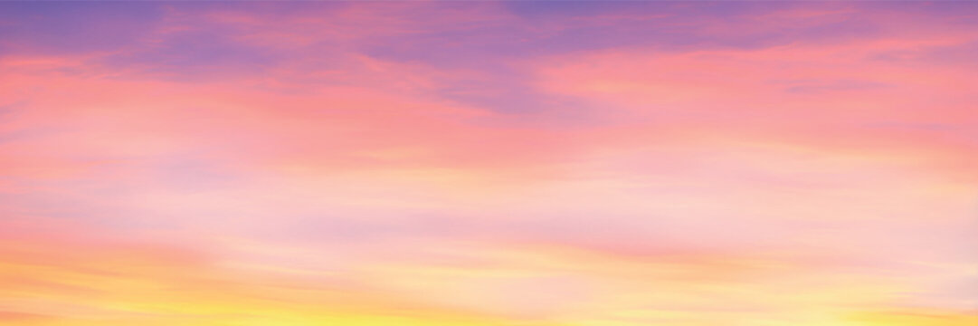 Panoramic view of the sunset sky, vector background
