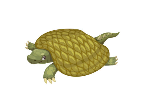 Cartoon henodus dinosaur character. Isolated vector prehistoric turtle, giant reptile with shell. Paleontology science, ancient animal lived in Late Triassic period during the early Carnian age