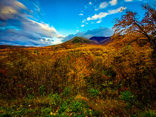 Smokey Mountains in the Fall