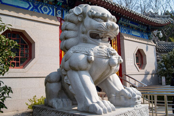 Fototapeta premium A stone lion in china ,with old building,