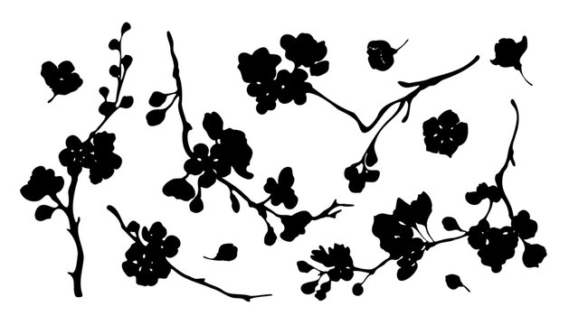 Cherry blossom branches black silhouette set on white background hand drawn vector design elements