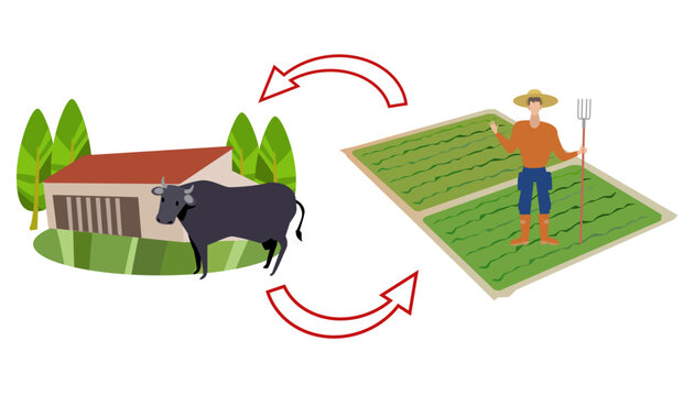 牧畜と農業のサイクル