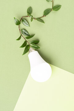 Eco light bulb with beam on green branch cable. Green energy concept. Environmental protection, Ecology conservation.