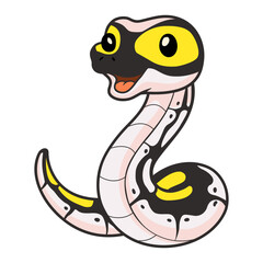 Cute super pastel yellow belly cartoon