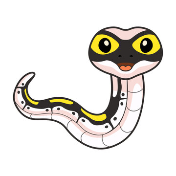 Cute super pastel yellow belly cartoon