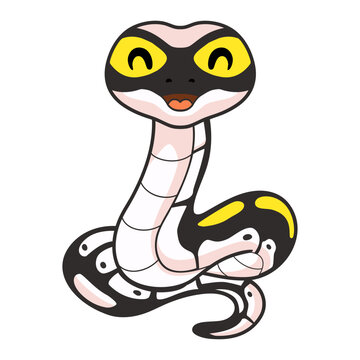 Cute super pastel yellow belly cartoon