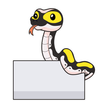 Cute super pastel yellow belly cartoon with blank sign