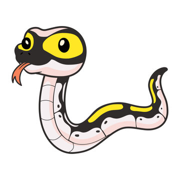 Cute super pastel yellow belly cartoon