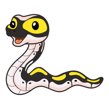 Cute super pastel yellow belly cartoon