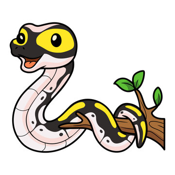 Cute super pastel yellow belly cartoon on tree branch