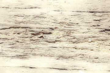Abstract texture of aged wood grain in sepia on pale ivory background like retro cinema.