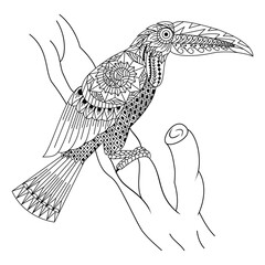Hand drawn of toucan in zentangle style