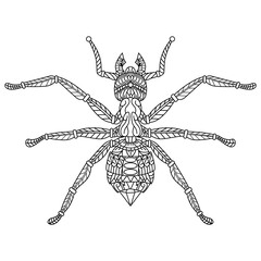 Hand drawn of ant in zentangle style