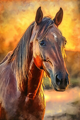 Horse 🐴,  watercolor style ,  majestic and powerful ,  sunset ,  warm and golden1  Generative AI Digital Illustration Part#200323
