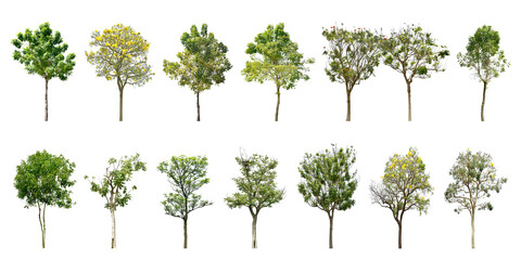 Collection Trees green leaves and some with yellow flowers. total 14 trees. (png)	