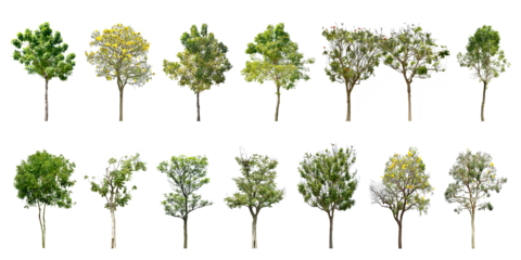 Collection Trees green leaves and some with yellow flowers. total 14 trees. (png)	
