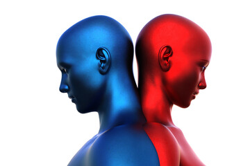 3d render. Merger of a male blue head and a red female head on a white background. 