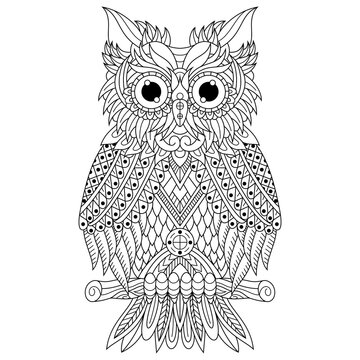 Hand drawn of owl in zentangle style