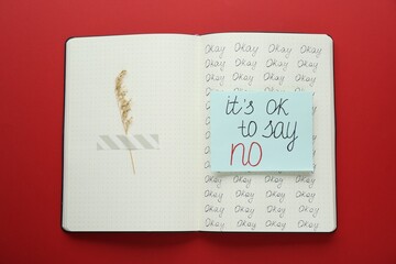 Phrase It`s Ok to Say No and dry flower attached with adhesive tape in notebook on red background, top view