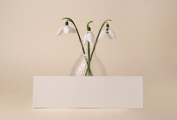 Beautiful snowdrops and paper card on beige background. Space for text