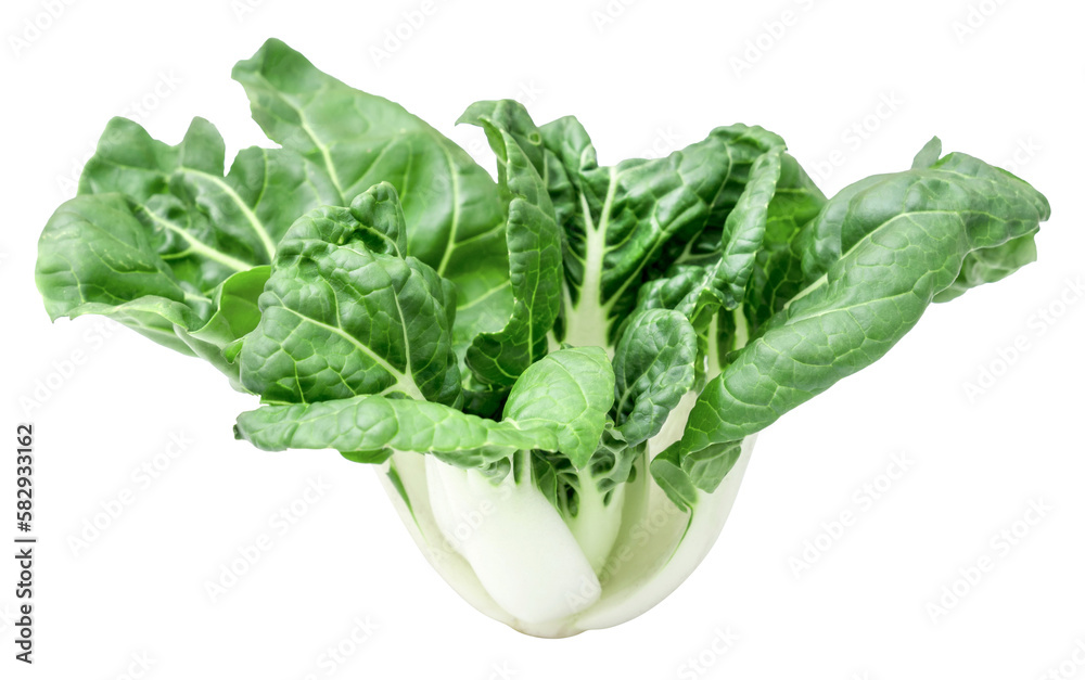 Canvas Prints pak choi isolated