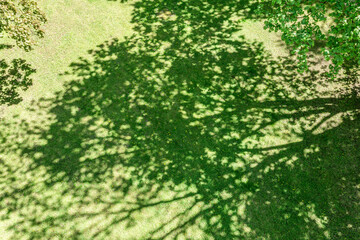 bright spring day in city public park. shade of trees on green lawn. aerial photography.
