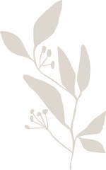 Abstract botanical leaf branch