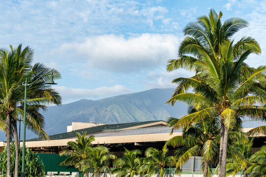 View of the tallest mountain in Maui, Hawaii - Haleakala Volcano (Mountain)