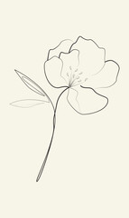 Poppy flower line art. Minimalist contour drawing. One line artwork.
