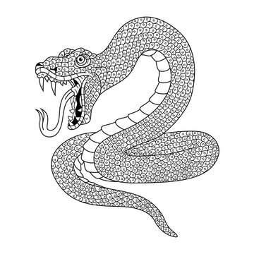 recommend clip art: Hand drawn of snake in zentangle style