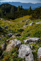 Mountain path in high mountains	
