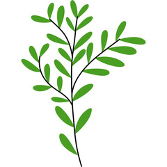 colorful flower doodle decorative flower leaves png file