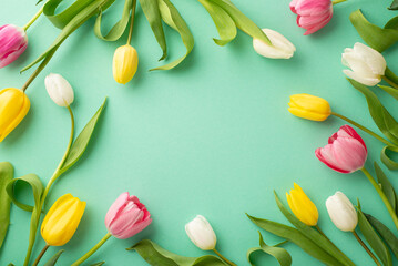 Spring atmosphere concept. Top view photo of scattered pink yellow and white tulips on isolated teal background with copyspace with copyspace