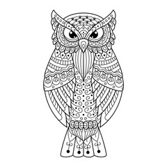 Hand drawn of owl in zentangle style