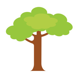 Tree Illustration