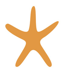 Star organic shape matisse style