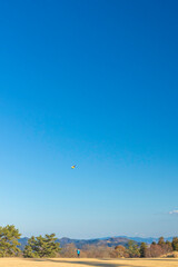 Obraz na płótnie Canvas kite in the sky