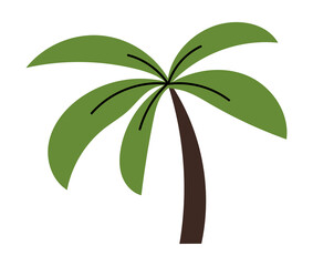 Palm tree vector